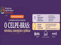 O CELPE-BRAS estrutura, concepções e práticas