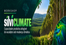 Capacidade Produtiva Atingível do Eucalipto sob Mudança Climática