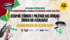Festival de Ciências Sociais da UFU - 2023 - cartaz com informações