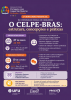 O CELPE-BRAS: estrutura, concepções e práticas